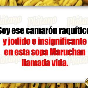 Meet your Posher, Rv